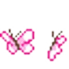 💗
