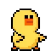 🐥