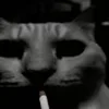 🚬