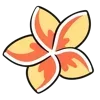 🌺