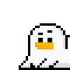 🐤