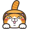 🐈