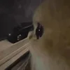 👀