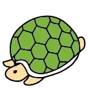 🐢