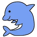 🐬