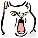 🐱