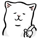 🐱