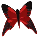 🦋