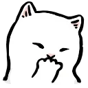 🐱
