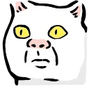 🐱