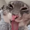 🤪