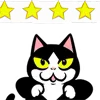 ⭐️