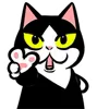 🐈‍⬛
