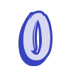 🌀