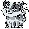 🐈