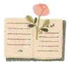 📖