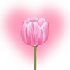 🌷