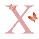 🌸