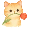 🐱