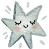 🌟