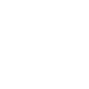 💲