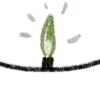 💡