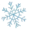 ❄