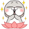 ✨