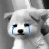 😭
