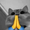 🙏