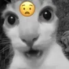 😧