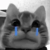 😭