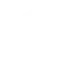 ✋