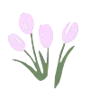 🌷