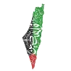 🇵🇸