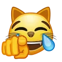 😹