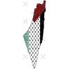 🇵🇸