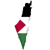 🇵🇸