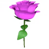 🌹