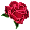 🌹