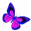 🦋