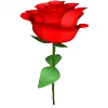 🌹