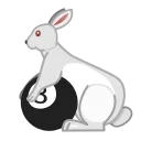 🐇