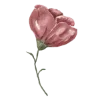 🥀