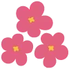 🌺