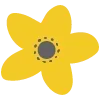 🌼