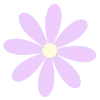 🌼