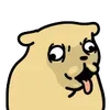 🐶