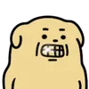 🐶