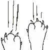 🐱